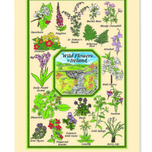 Irish Wildflowers T-Towel